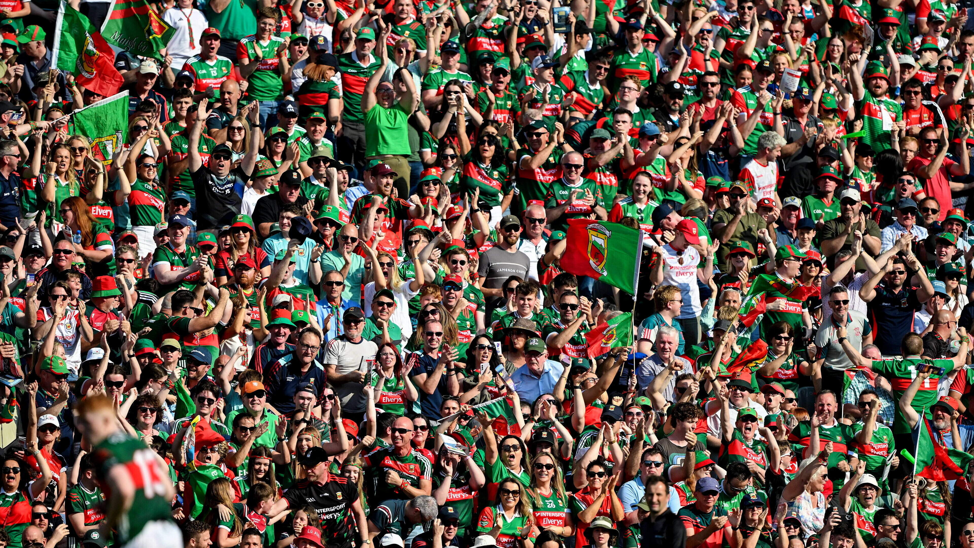 Mayo Supporters' Celebrations Spark Controversy